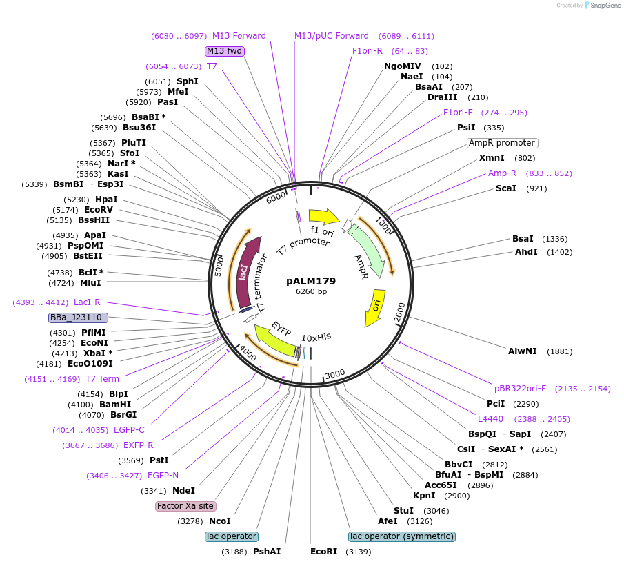 156017_map