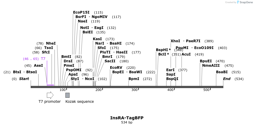 156021_map