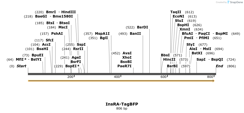 156022_map