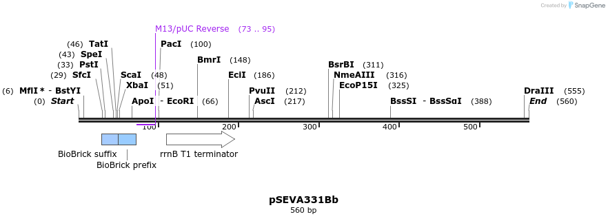 156034_map