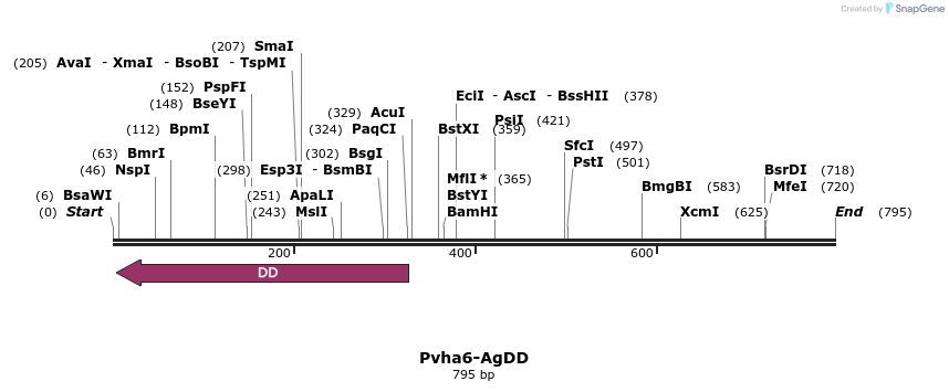 156043_map