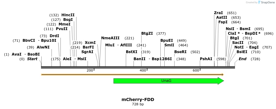 156044_map