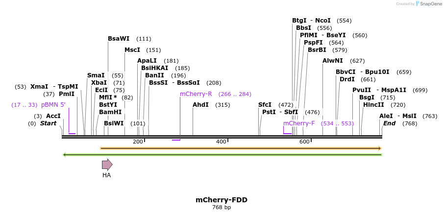 156045_map