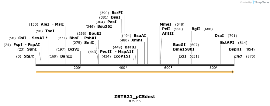 156046_map