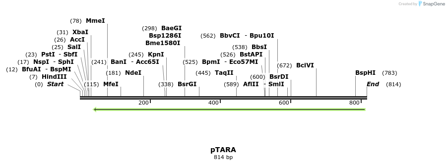 156048_map