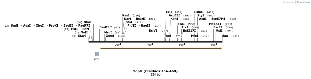 156049_map