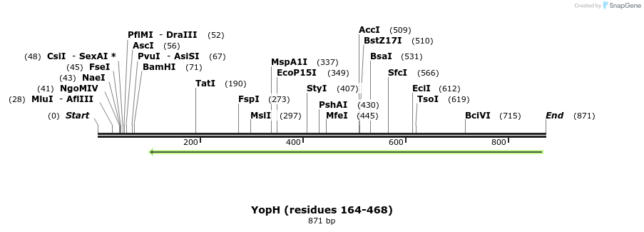 156050_map