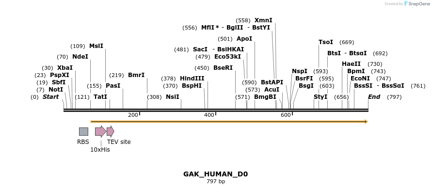156054_map