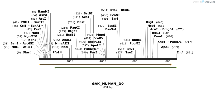 156055_map