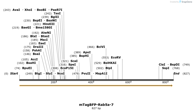 156057_map