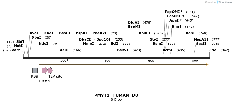 156058_map