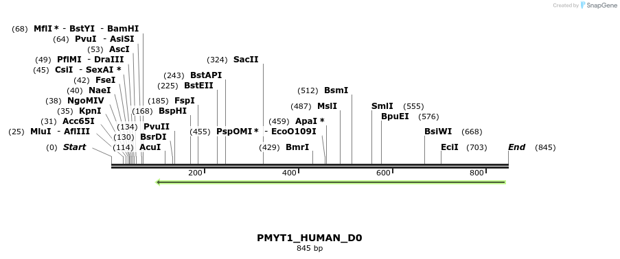 156059_map