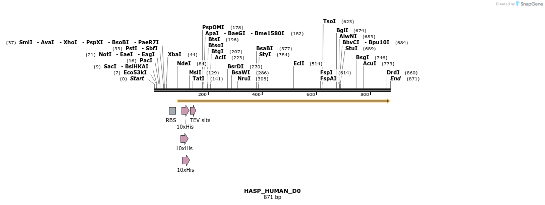 156062_map