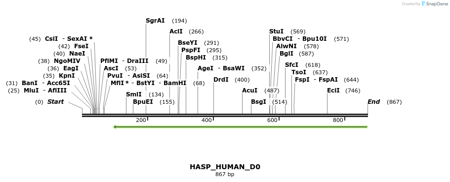 156063_map