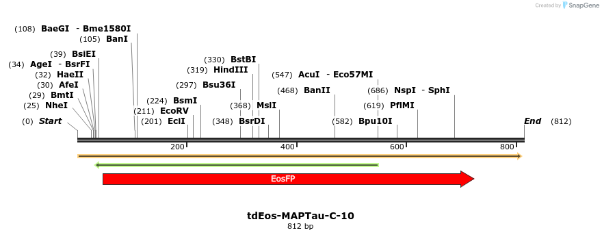 156066_map