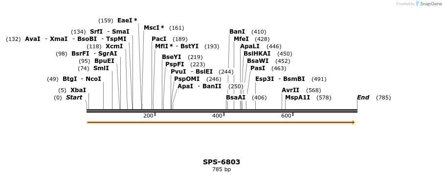 156070_map