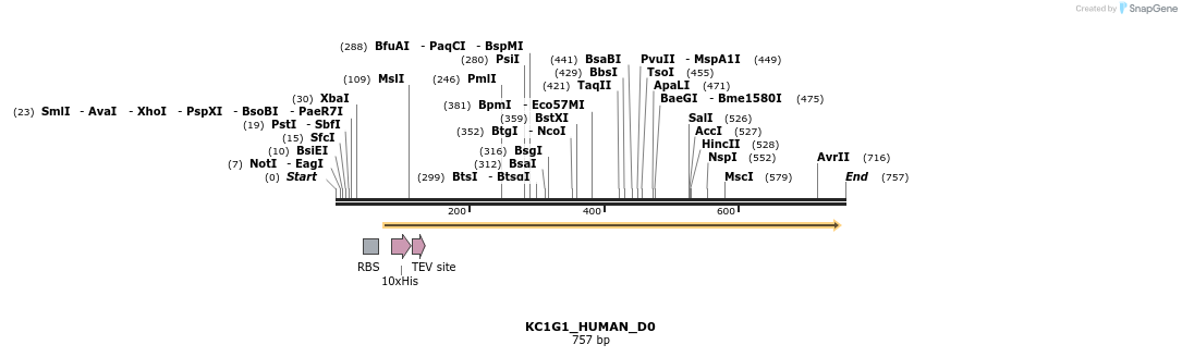 156073_map