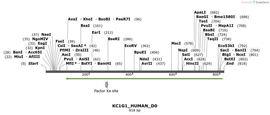 156074_map