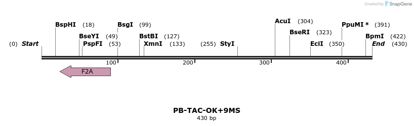 156075_map