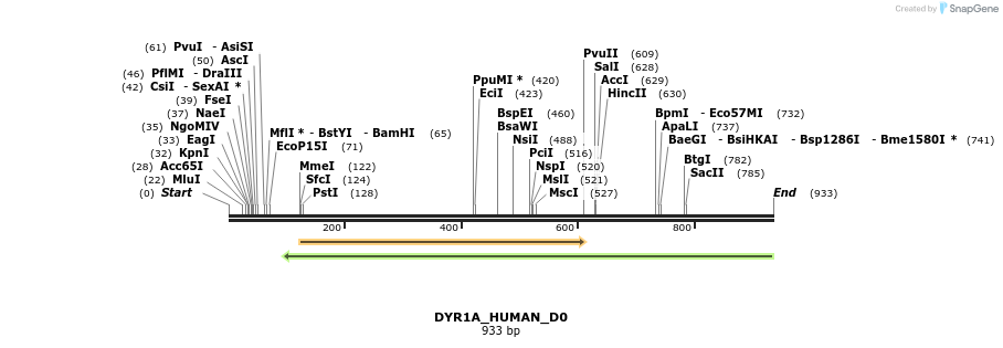 156081_map