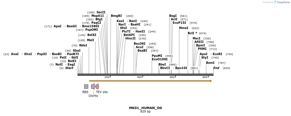 156083_map