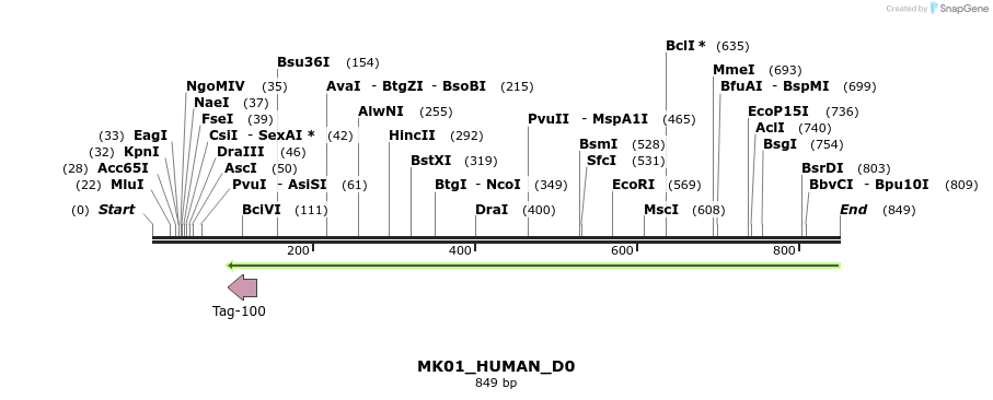 156084_map
