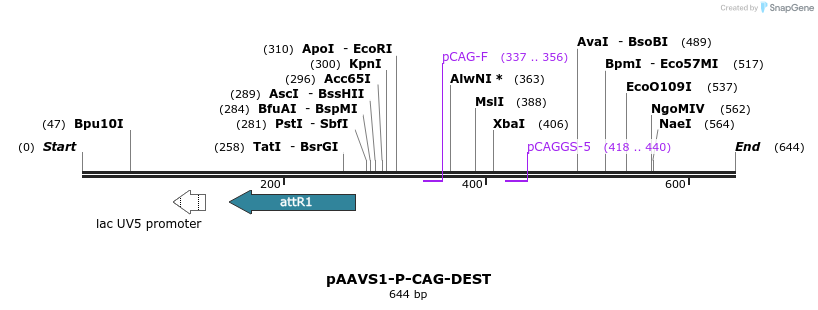 156086_map