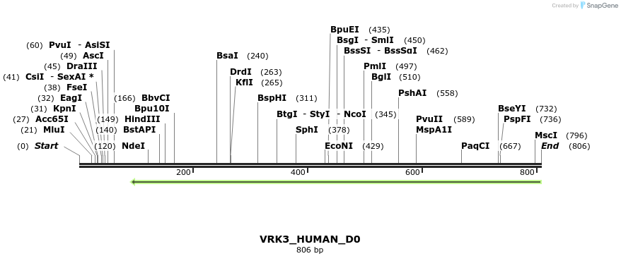 156091_map