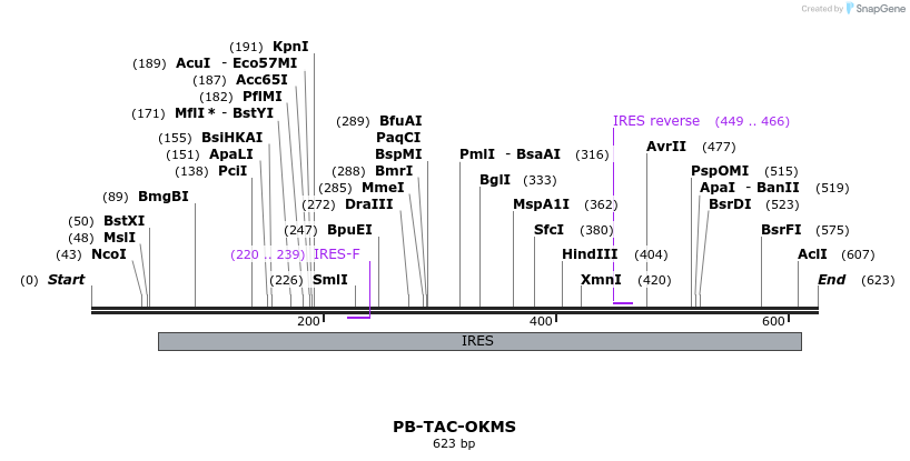 156094_map