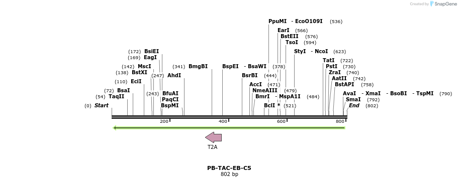 156099_map