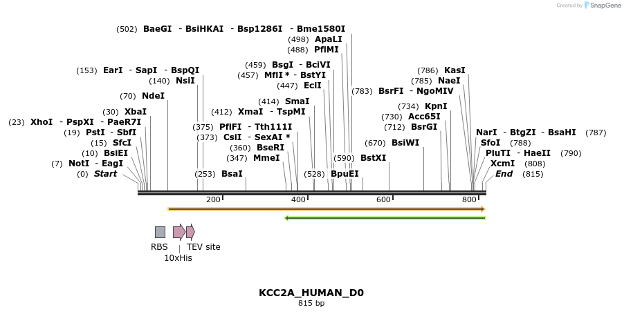 156101_map