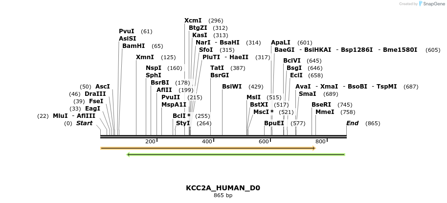 156104_map