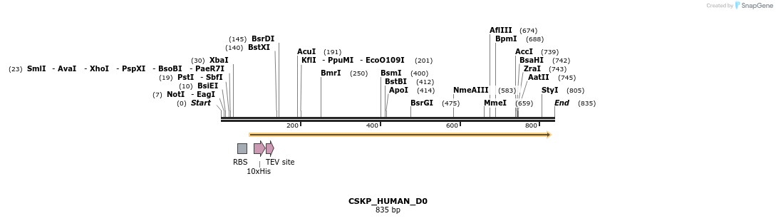 156112_map