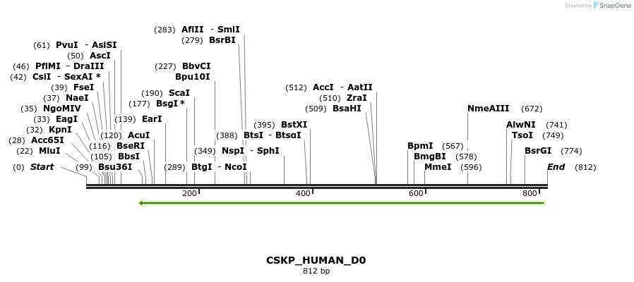 156113_map