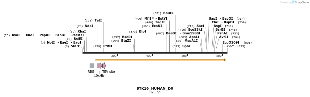 156117_map