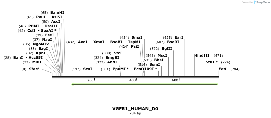 156176_map