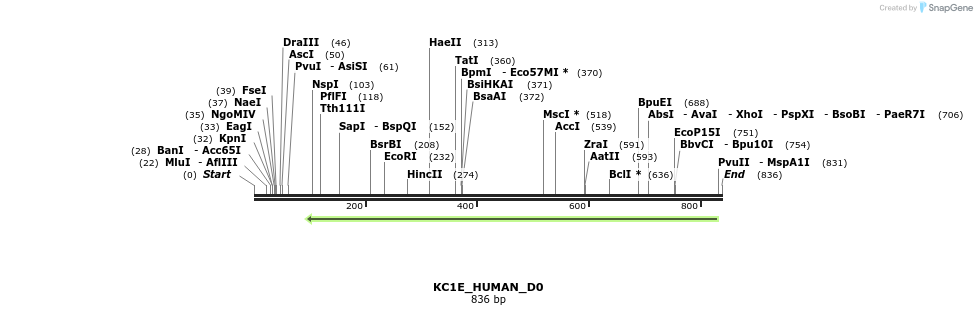 156178_map