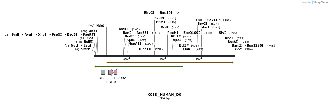 156183_map