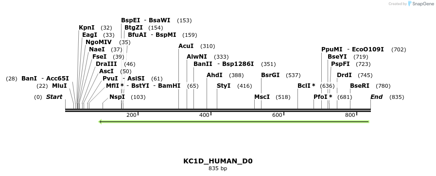 156185_map
