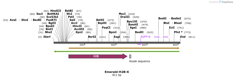 156203_map