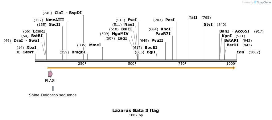 156210_map
