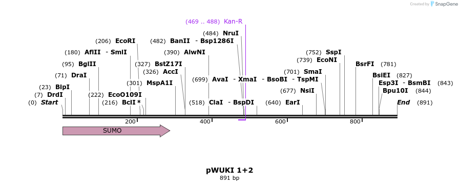 156211_map