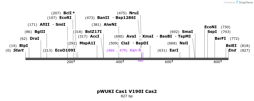 156221_map