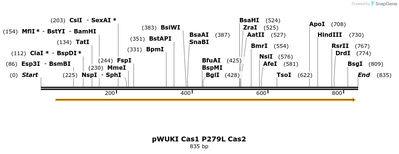 156223_map