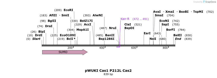156227_map