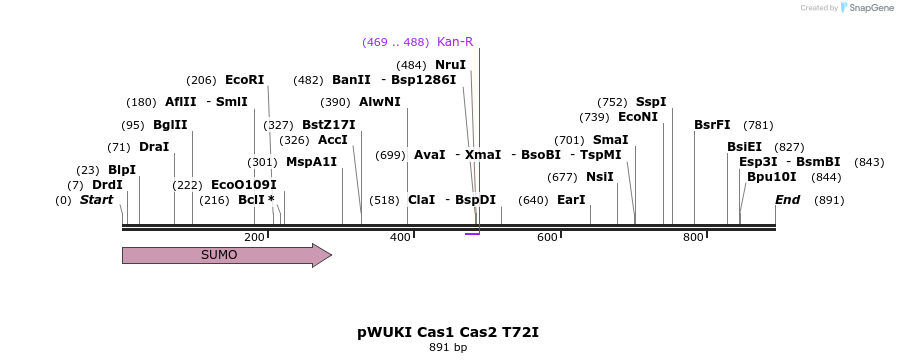 156235_map