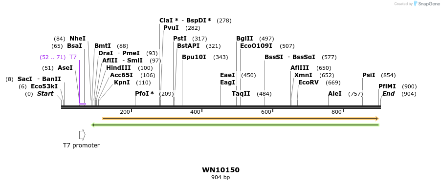 156247_map