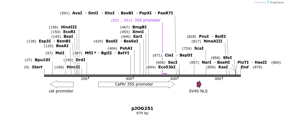 156248_map