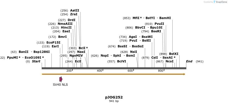 156250_map