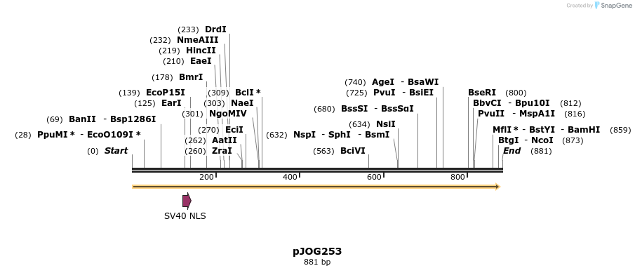 156256_map